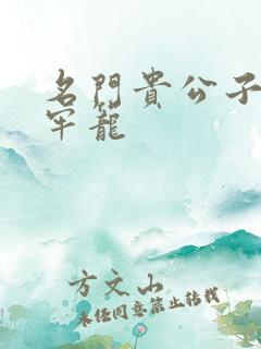 名门贵公子炙热牢笼