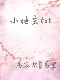 小地主txt
