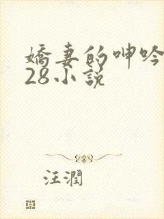 娇妻的呻吟1—28小说