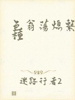 色翁荡熄系列借种