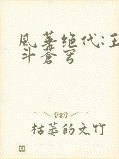 风华绝代:王妃斗苍穹