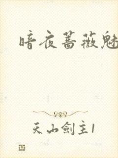 暗夜蔷薇魅之伤