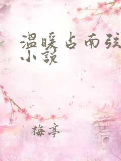 温暖占南弦尹衿小说