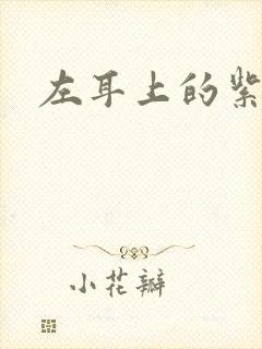 左耳上的紫水晶