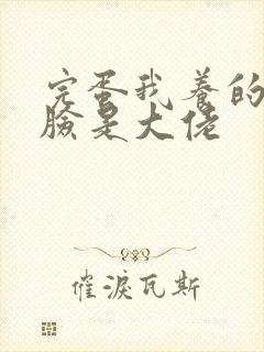 完蛋我养的小白脸是大佬