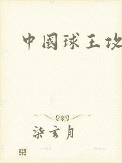 中国球王攻略