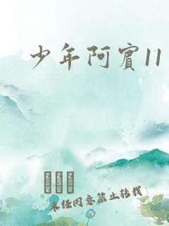 少年阿宾11