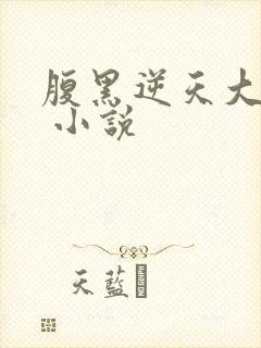 腹黑逆天大小姐 小说