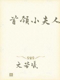 首领小夫人