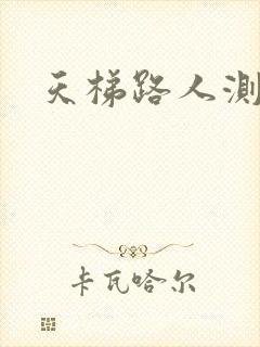 天梯路人测试器