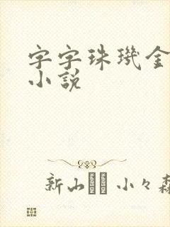 字字珠玑金银花小说