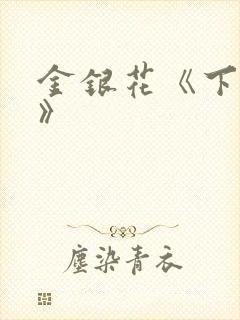 金银花《下厨房》