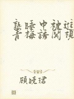 熟睡中被进了H青梅诱哄视频