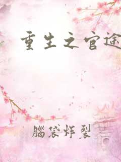 重生之官途辉煌