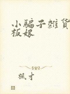 小骗子杂货铺老板娘