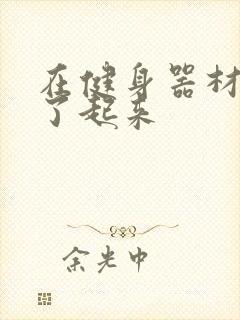 在健身器材上做了起来