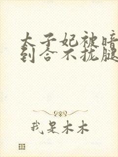 太子妃被暗卫c到合不拢腿