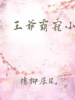 王爷霸宠小甜妻