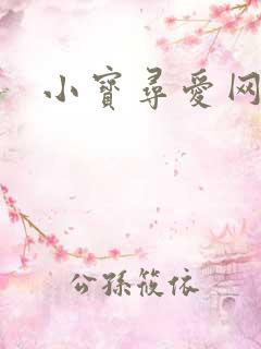 小宝寻爱网址