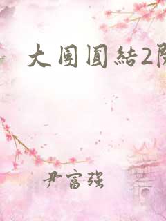大团圆结2阅读