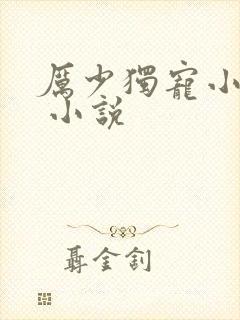 厉少独宠小娇妻 小说