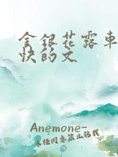 金银花露车速最快的文