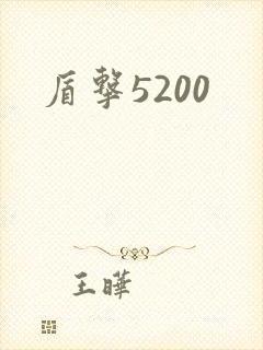 盾击5200
