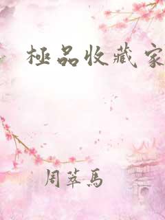 极品收藏家