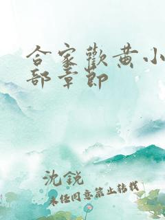 合家欢黄小梅全部章节