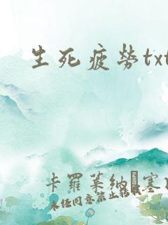 生死疲劳txt
