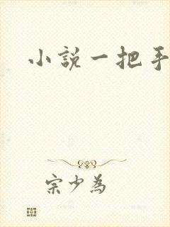 小说一把手