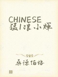 CHINESE猛1浪小辉