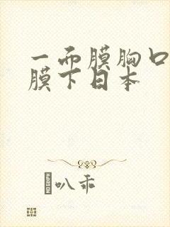 一面膜胸口一面膜下日本