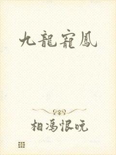 九龙宠凤