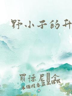 野小子的升官路