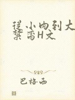 从小肉到大师傅禁脔H文