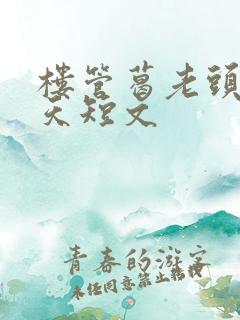 楼管葛老头的春天短文