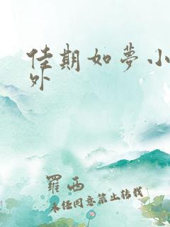 佳期如梦小说番外