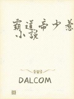 霸道帝少惹不得 小说