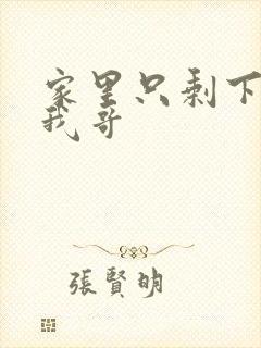 家里只剩下我和我哥