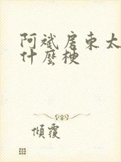 阿斌房东太太是什么梗