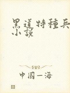 黑道特种兵有声小说