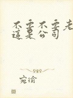 不要不要老板别这是公司