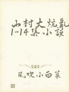 山村大炕乱肉续1-14集小说