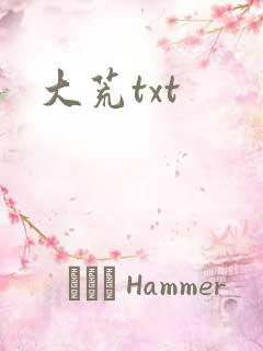 大荒txt