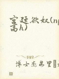 宫廷欲奴(np高h)