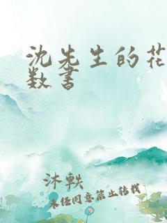 沈先生的花式调数书