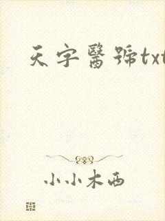 天字医号txt
