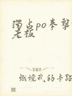 独占po拳击馆老板