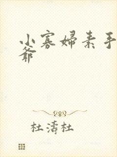 小寡妇素手擒四爷